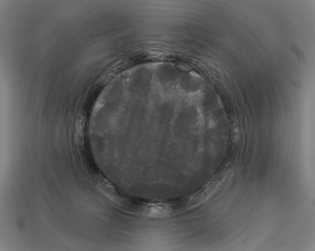 X0000113080275200909250955