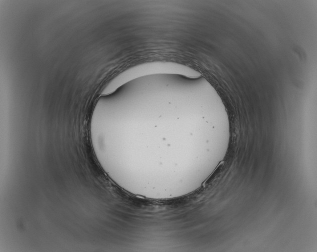 X0000113080276200909250955