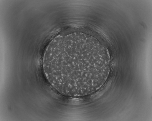 X0000113080277200909250955
