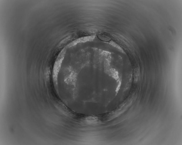 X0000113080279200909250955