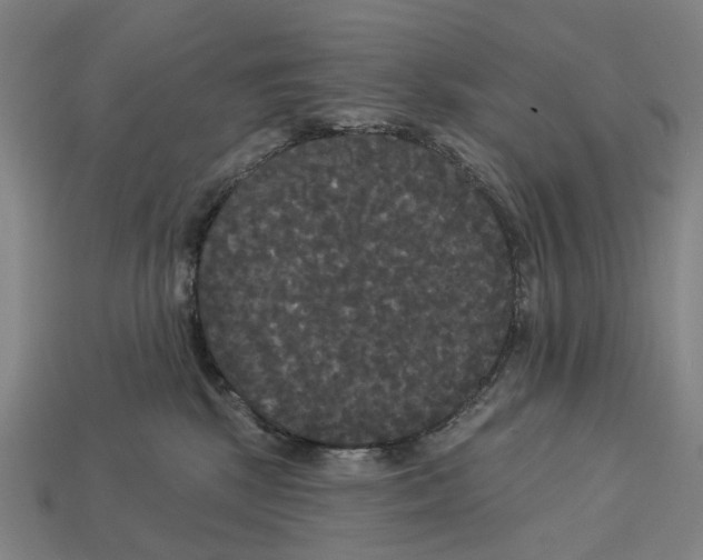 X0000113080281200909250955