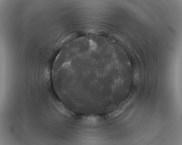 X0000113080282200909250955