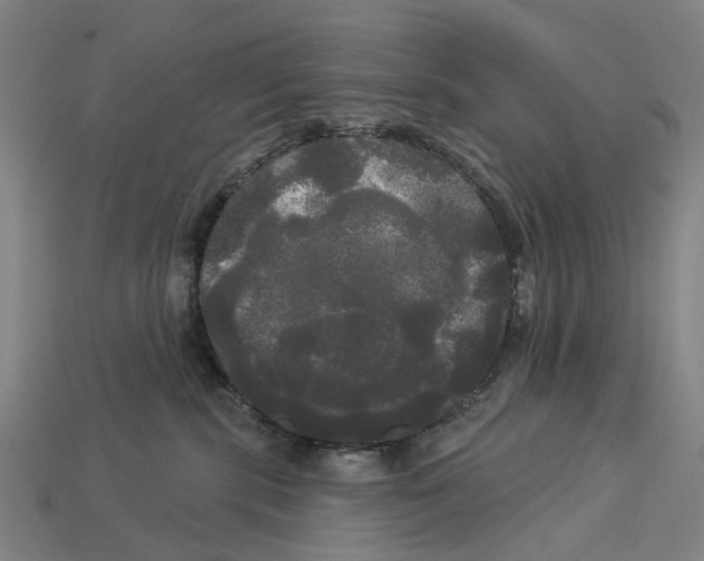 X0000113080283200909250955