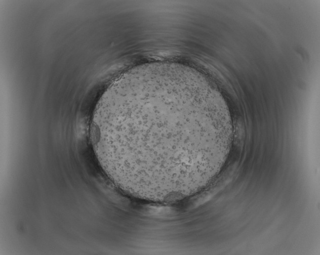 X0000113080284200909250955