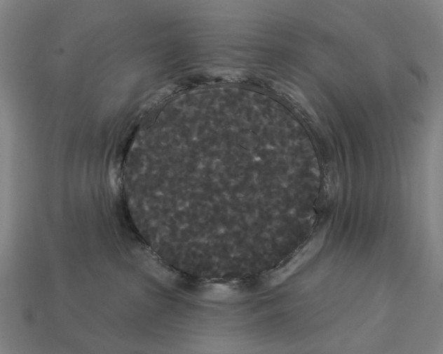 X0000113080285200909250955