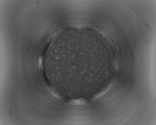 X0000113080286200909250955