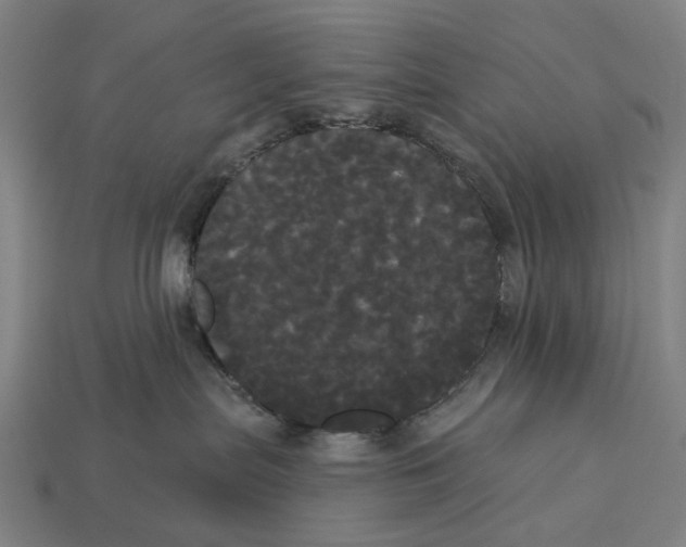 X0000113080287200909250955