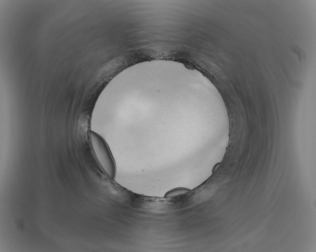 X0000113080288200909250955