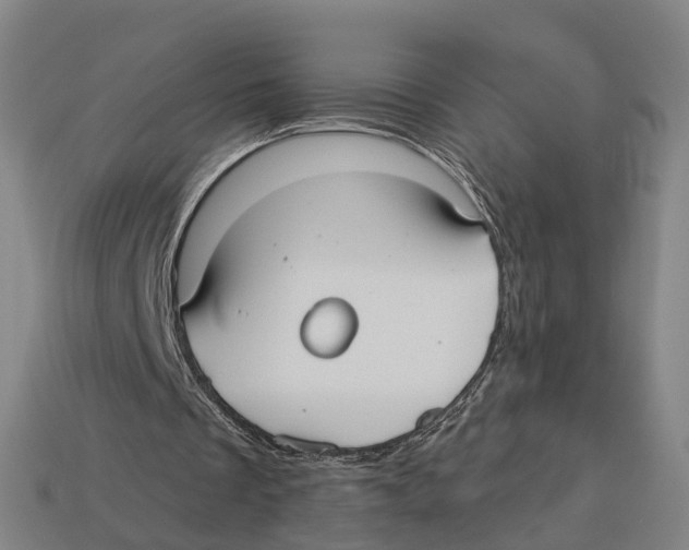 X0000113080289200909250955