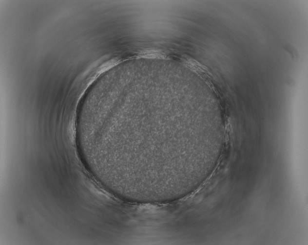 X0000113080290200909250955