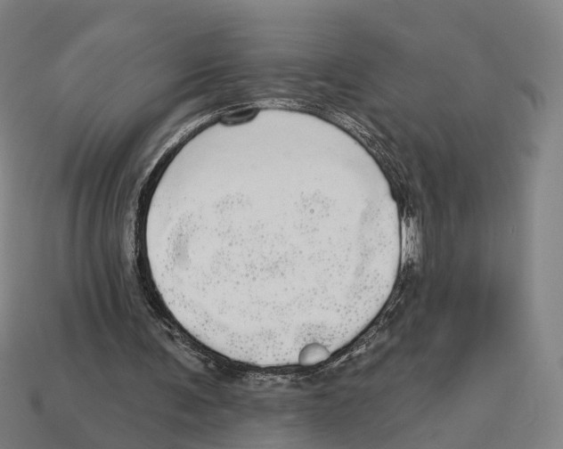 X0000113080291200909250955