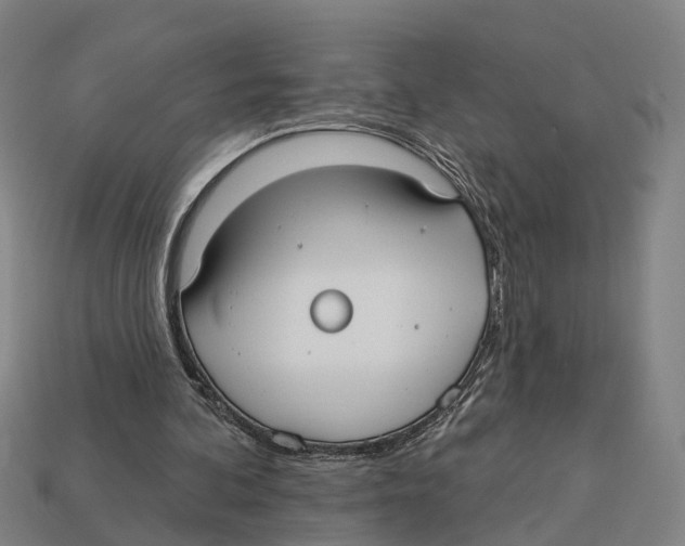 X0000113080292200909250955
