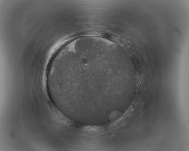 X0000113080294200909250955