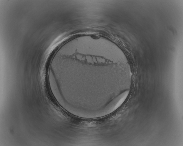X0000113080295200909250955