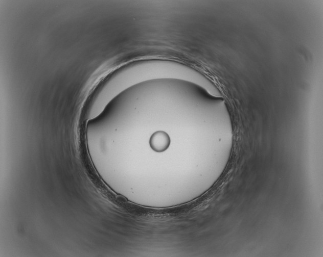 X0000113080296200909250955