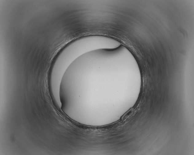 X0000113080297200909250955