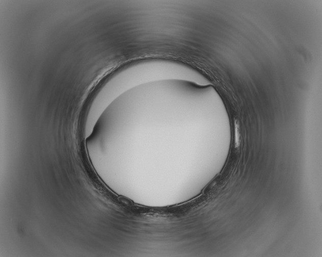 X0000113080300200909250955