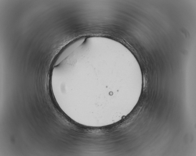 X0000113080301200909250955
