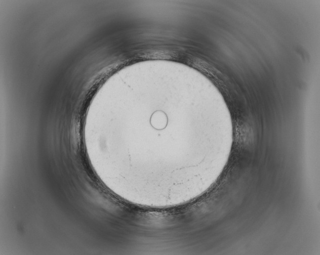 X0000113080302200909250955