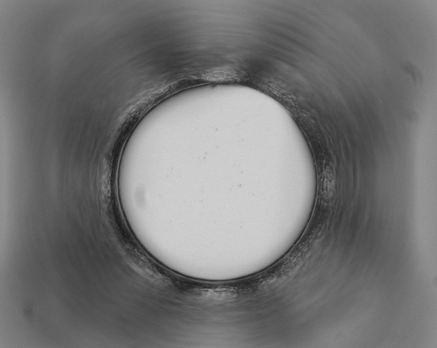 X0000113080303200909250955