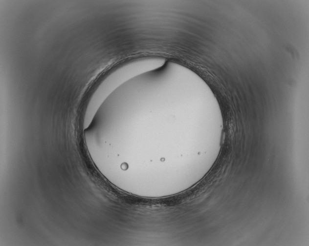 X0000113080304200909250955