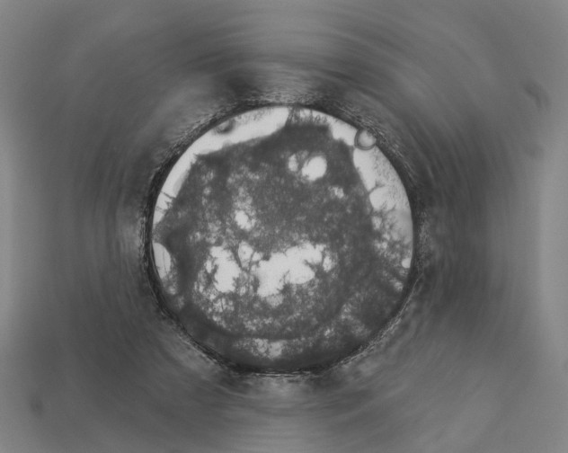 X0000113080305200909250955