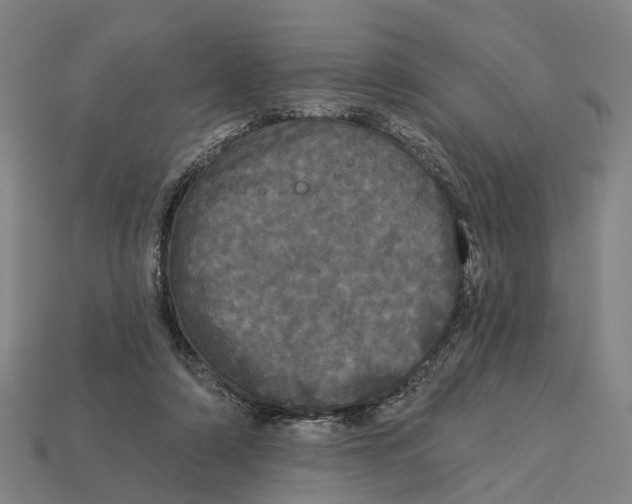 X0000113080306200909250955