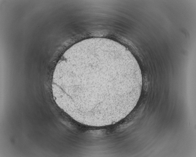 X0000113080307200909250955