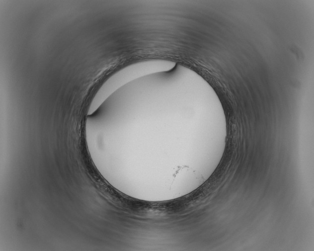 X0000113080308200909250955