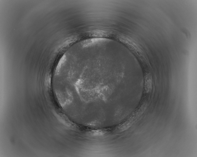 X0000113080310200909250954
