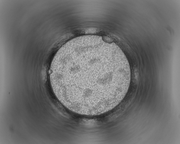 X0000113080311200909250954
