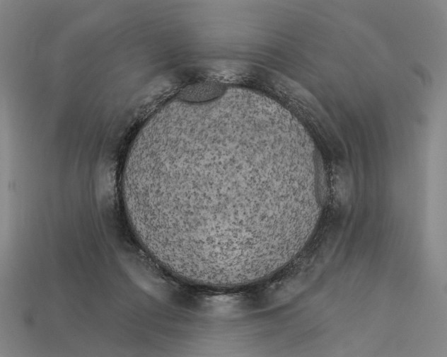 X0000113080312200909250954