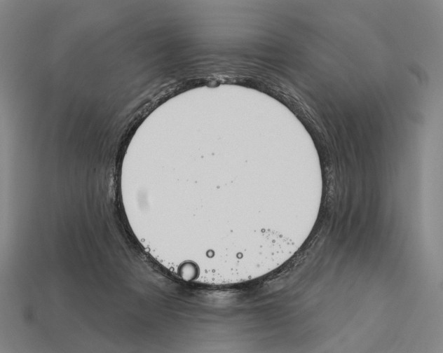 X0000113080313200909250954