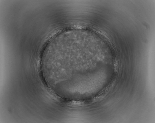 X0000113080314200909250954