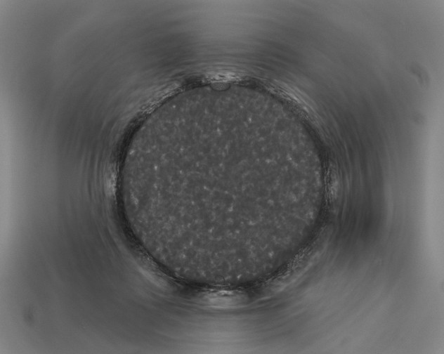 X0000113080315200909250954