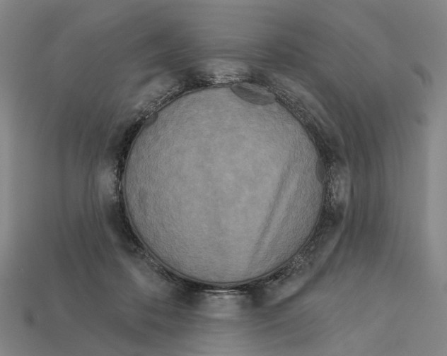 X0000113080316200909250954