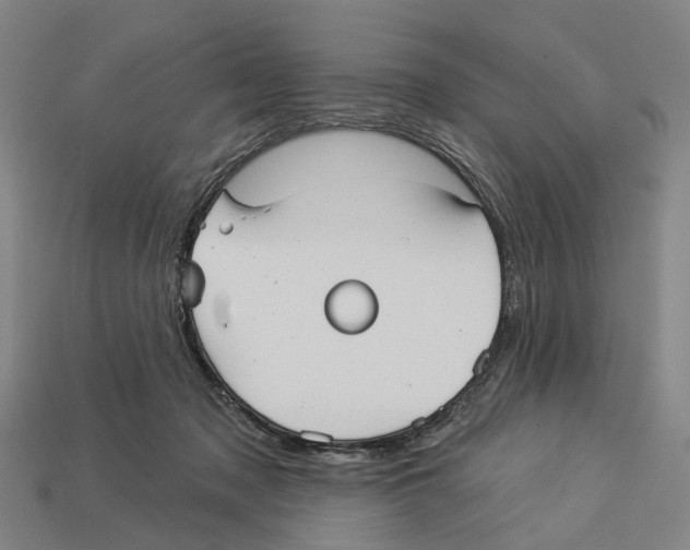 X0000113080317200909250954