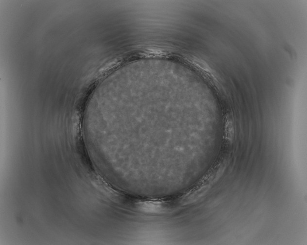 X0000113080318200909250954