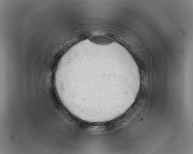 X0000113080319200909250954