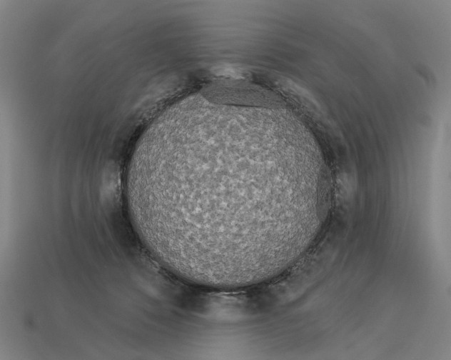 X0000113080320200909250954