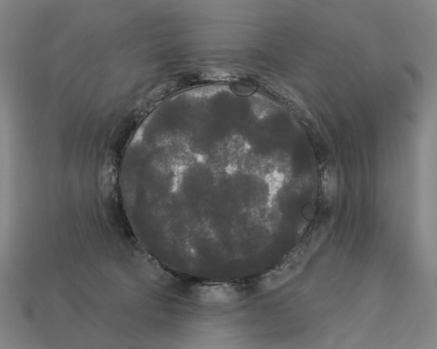 X0000113080322200909250954