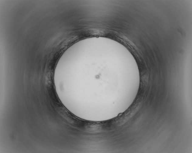X0000113080325200909250954