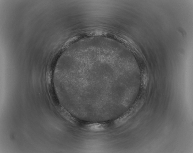 X0000113080326200909250954