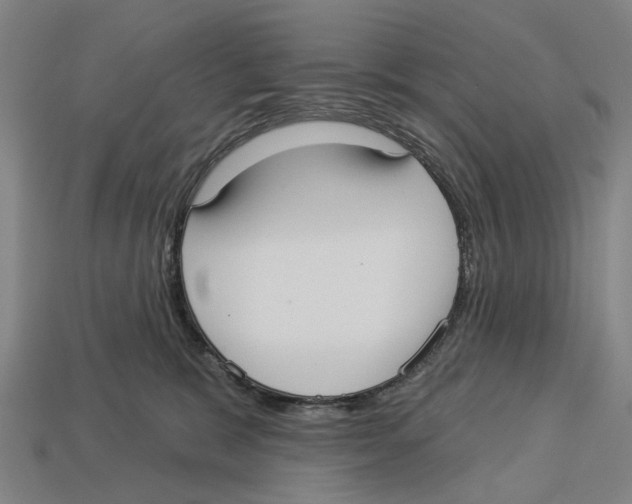X0000113080327200909250954