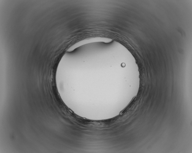 X0000113080328200909250954