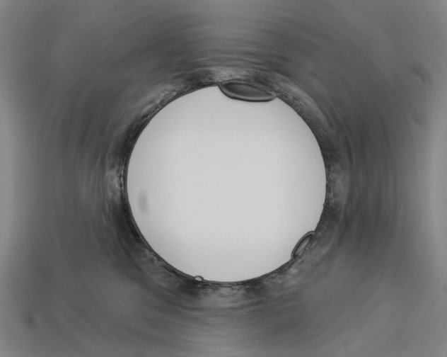 X0000113080329200909250954
