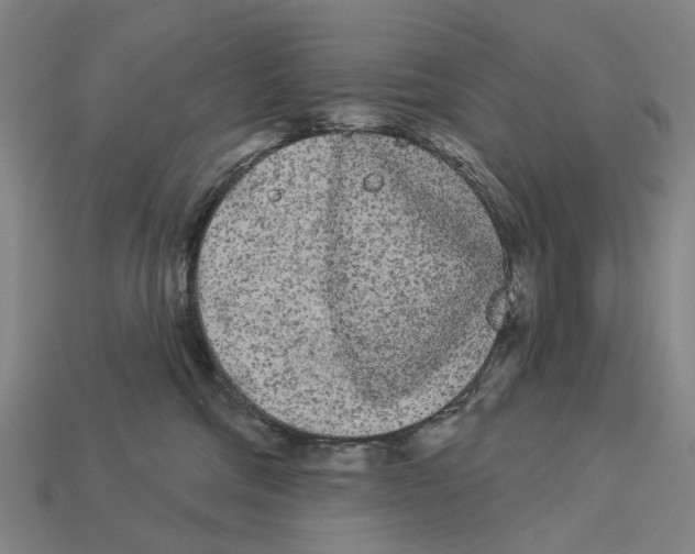 X0000113080330200909250954