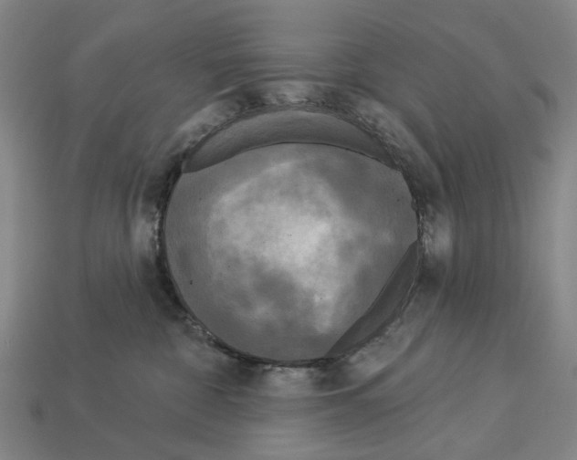 X0000113080332200909250954