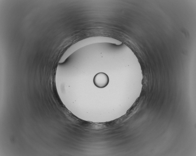 X0000113080333200909250954