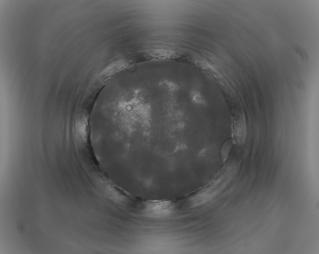 X0000113080334200909250954